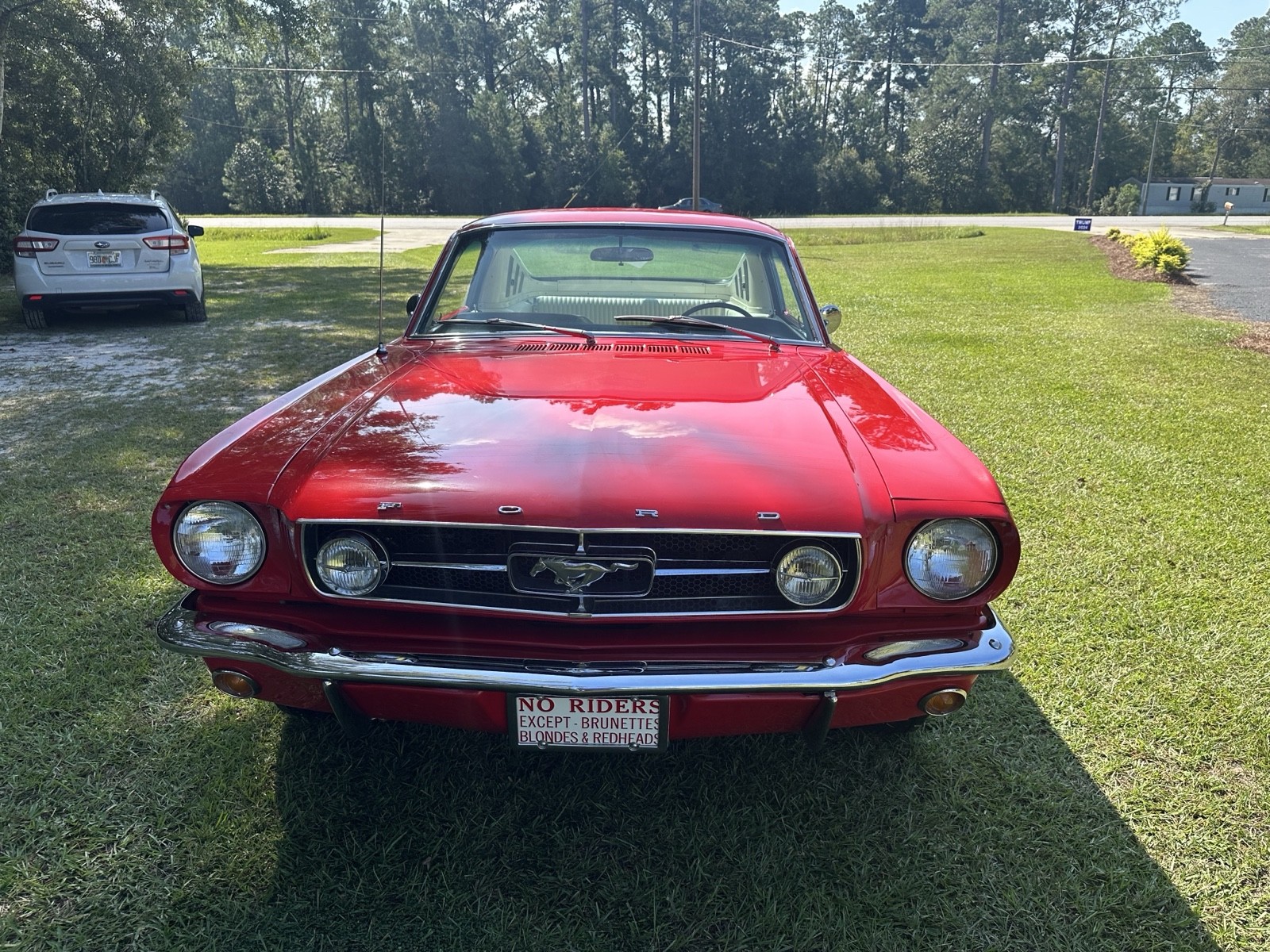 Ford-Mustang-1965-3