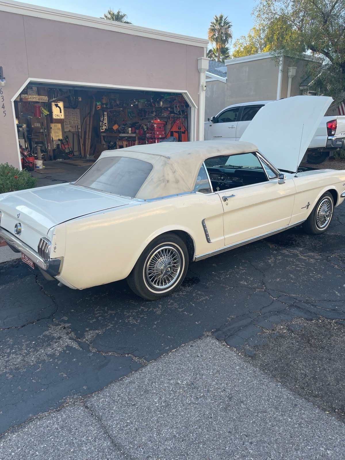Ford-Mustang-1965-3