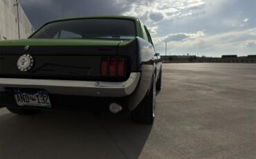 Ford-Mustang-1965-BlackGreen-BlackGreen-14