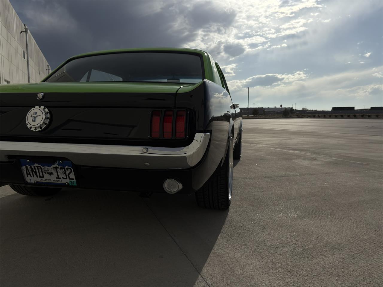 Ford-Mustang-1965-BlackGreen-BlackGreen-14