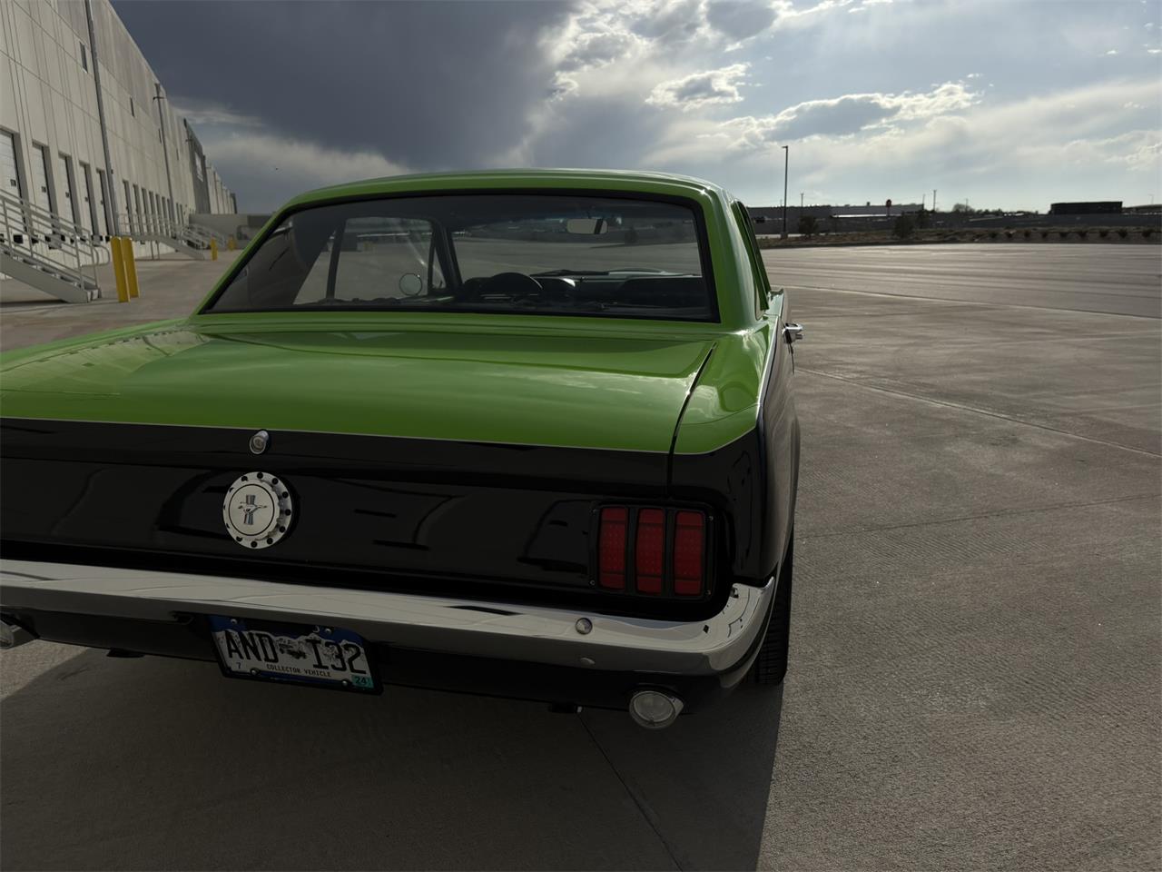 Ford-Mustang-1965-BlackGreen-BlackGreen-15