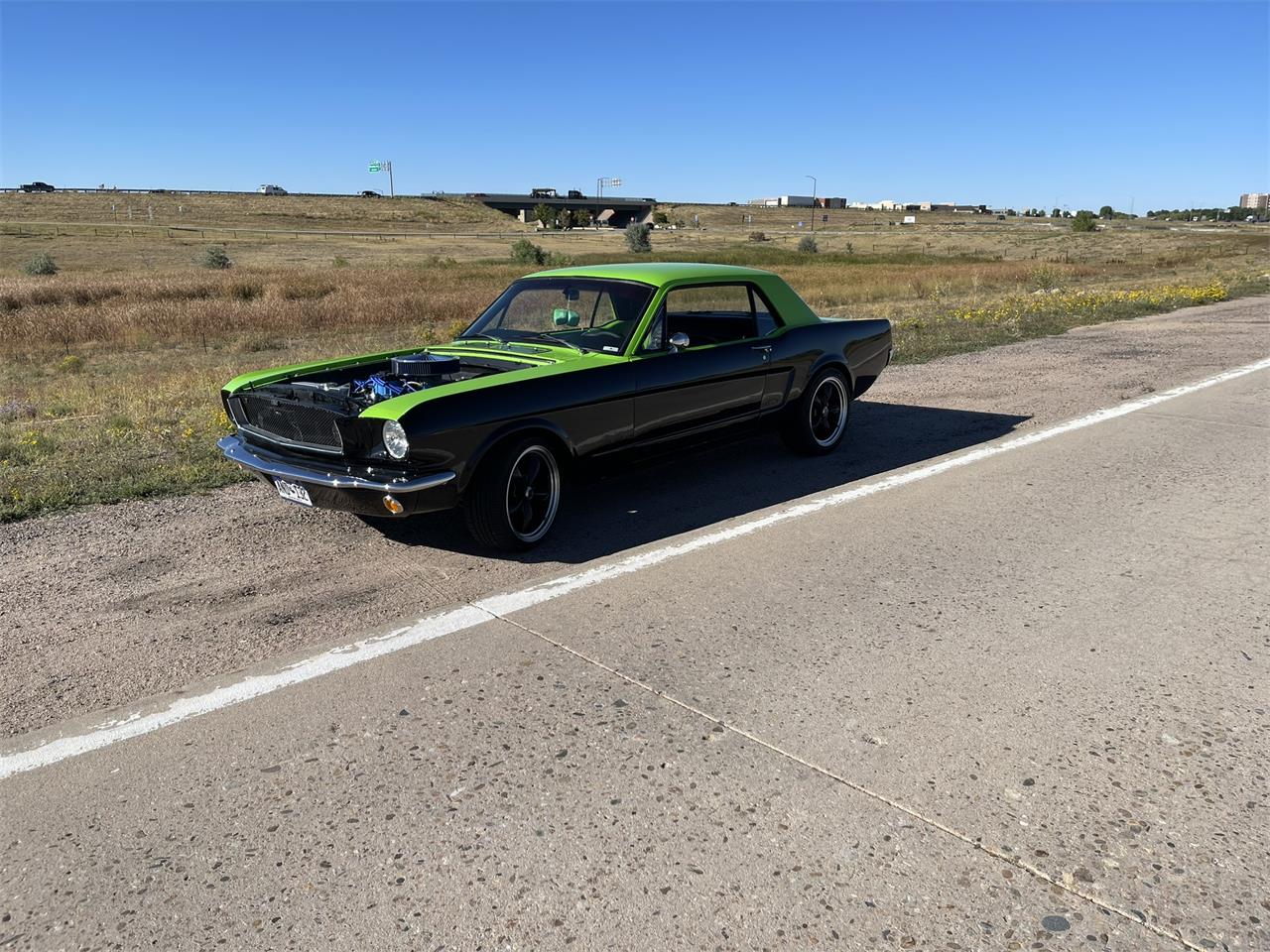 Ford-Mustang-1965-BlackGreen-BlackGreen-33