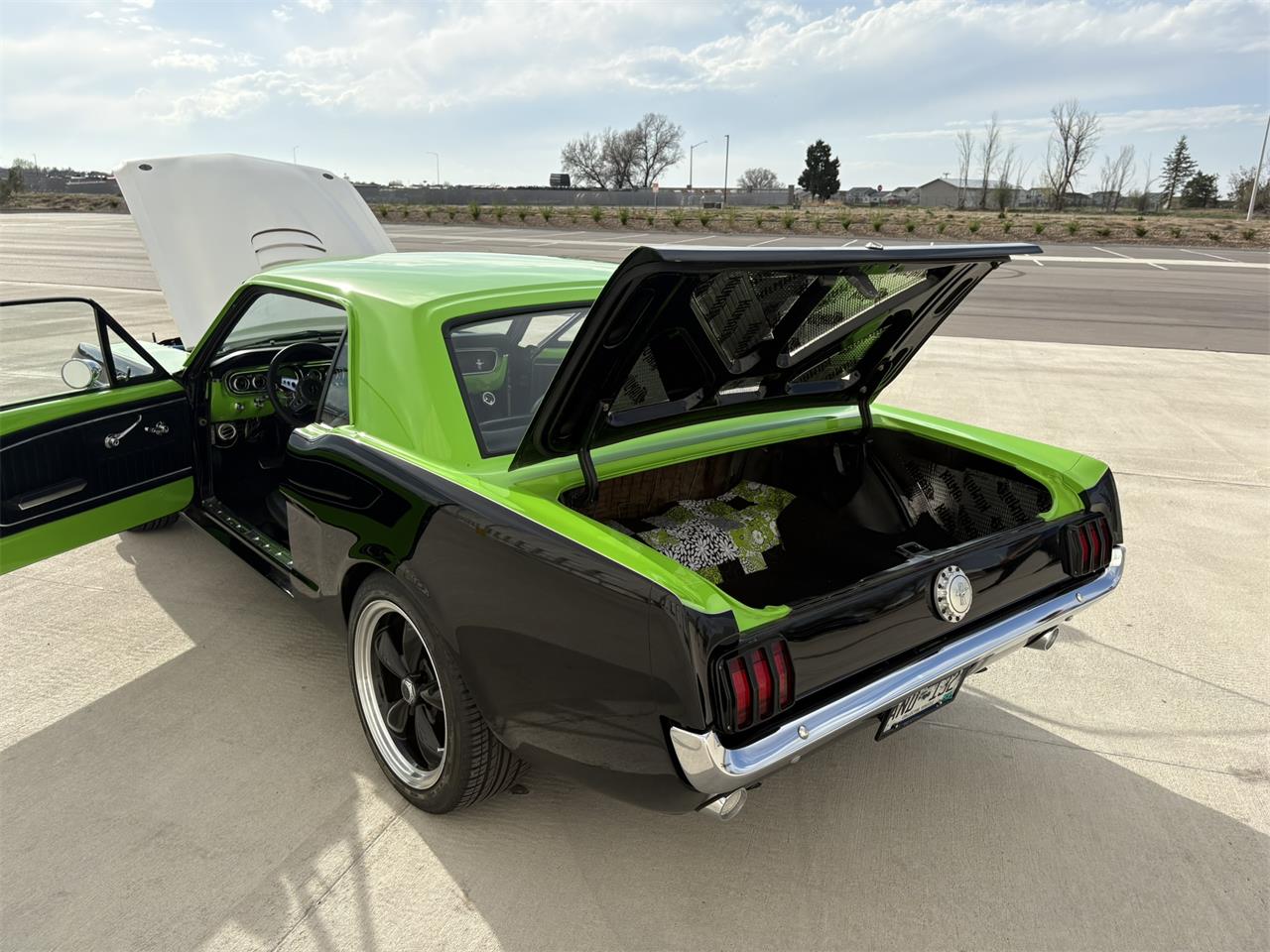 Ford-Mustang-1965-BlackGreen-BlackGreen-41