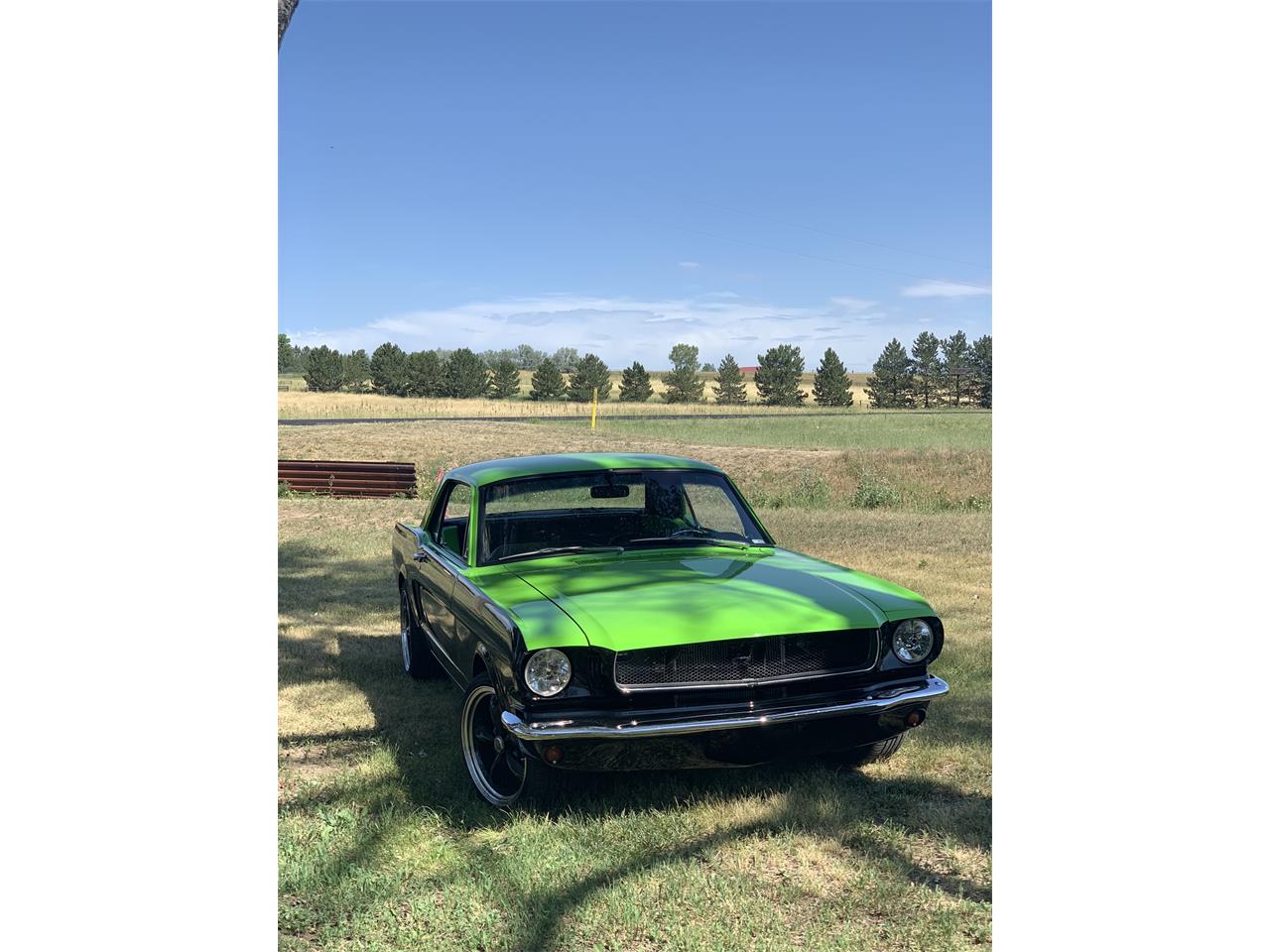 Ford-Mustang-1965-BlackGreen-BlackGreen-5