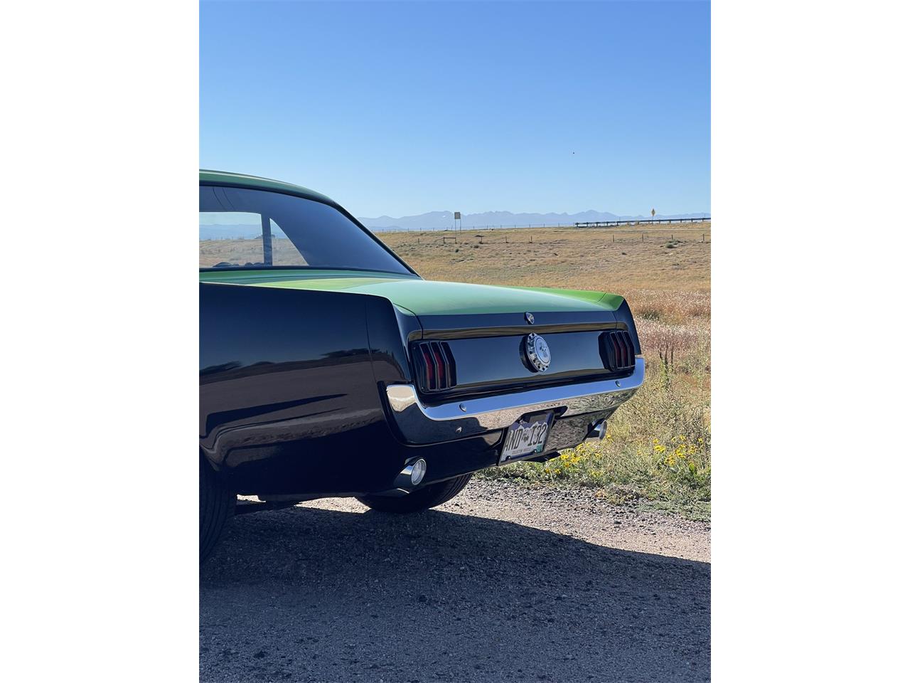 Ford-Mustang-1965-BlackGreen-BlackGreen-55