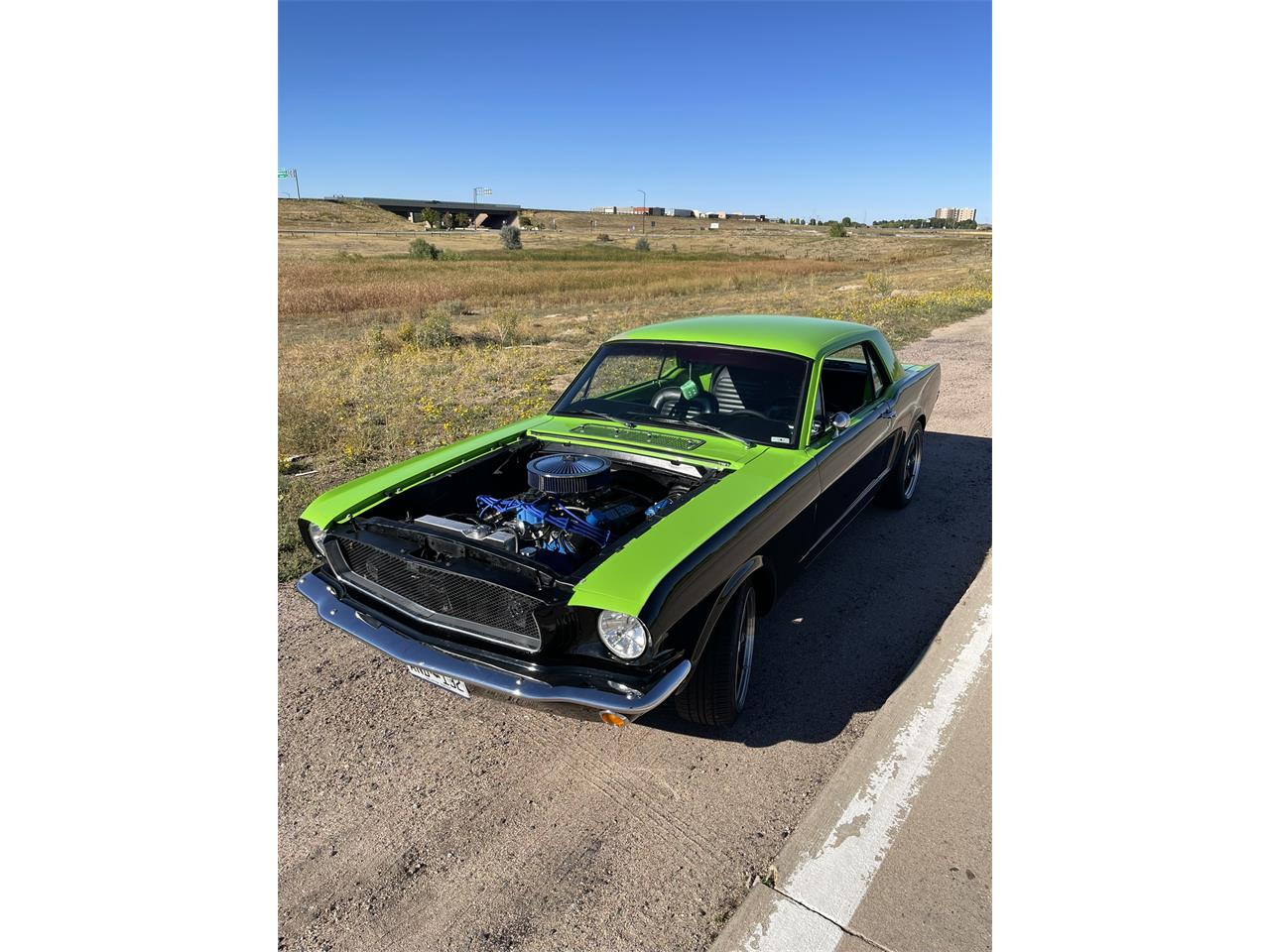 Ford-Mustang-1965-BlackGreen-BlackGreen-56