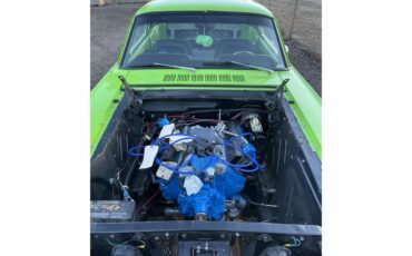 Ford-Mustang-1965-BlackGreen-BlackGreen-72