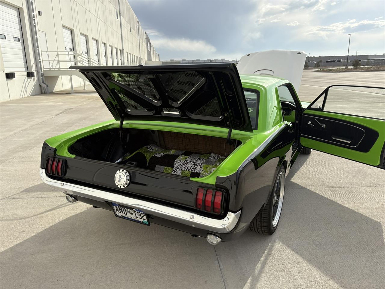 Ford-Mustang-1965-BlackGreen-BlackGreen-82