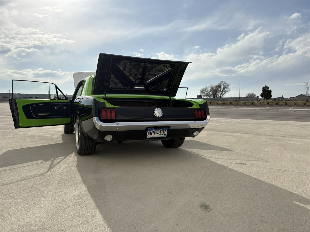 Ford-Mustang-1965-BlackGreen-BlackGreen-83