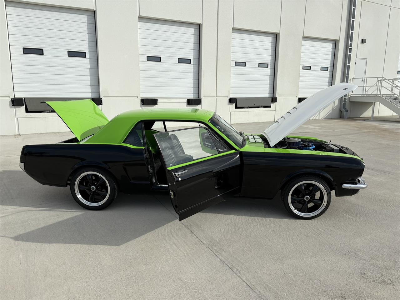 Ford-Mustang-1965-BlackGreen-BlackGreen-95
