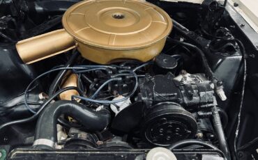Ford-Mustang-1965-Fastback-11