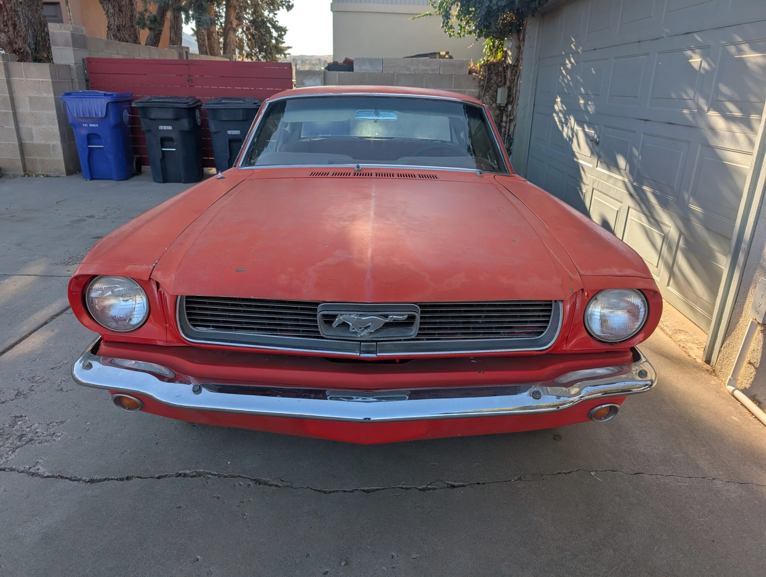 Ford-Mustang-1965-Red-Red-1