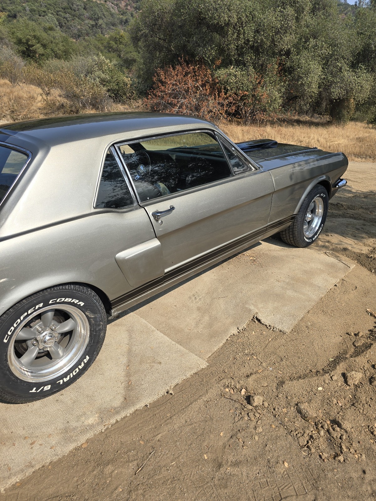 Ford-Mustang-1966-5