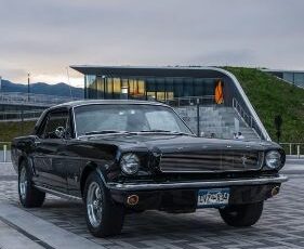 Ford-Mustang-1966-Black-Black-1