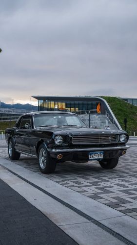 Ford-Mustang-1966-Black-Black-1
