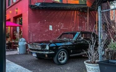 Ford-Mustang-1966-Black-Black-10