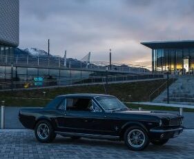 Ford-Mustang-1966-Black-Black-11