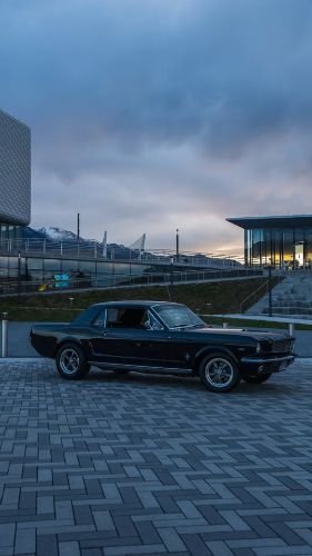 Ford-Mustang-1966-Black-Black-11