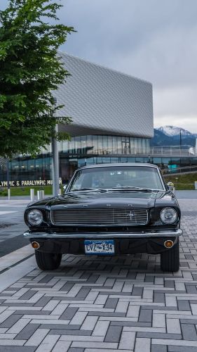 Ford-Mustang-1966-Black-Black-13