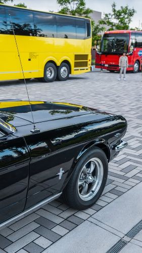 Ford-Mustang-1966-Black-Black-2