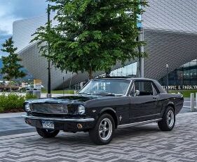 Ford-Mustang-1966-Black-Black