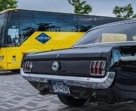 Ford-Mustang-1966-Black-Black-3