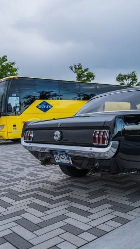 Ford-Mustang-1966-Black-Black-3