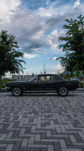 Ford-Mustang-1966-Black-Black-5