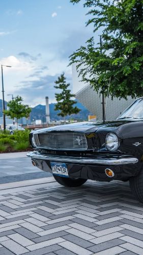 Ford-Mustang-1966-Black-Black-8