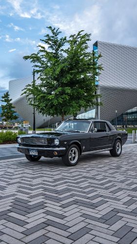Ford-Mustang-1966-Black-Black