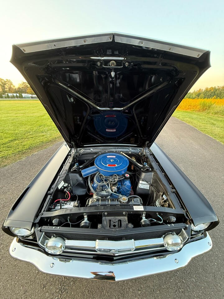 Ford-Mustang-1966-Coupe-18
