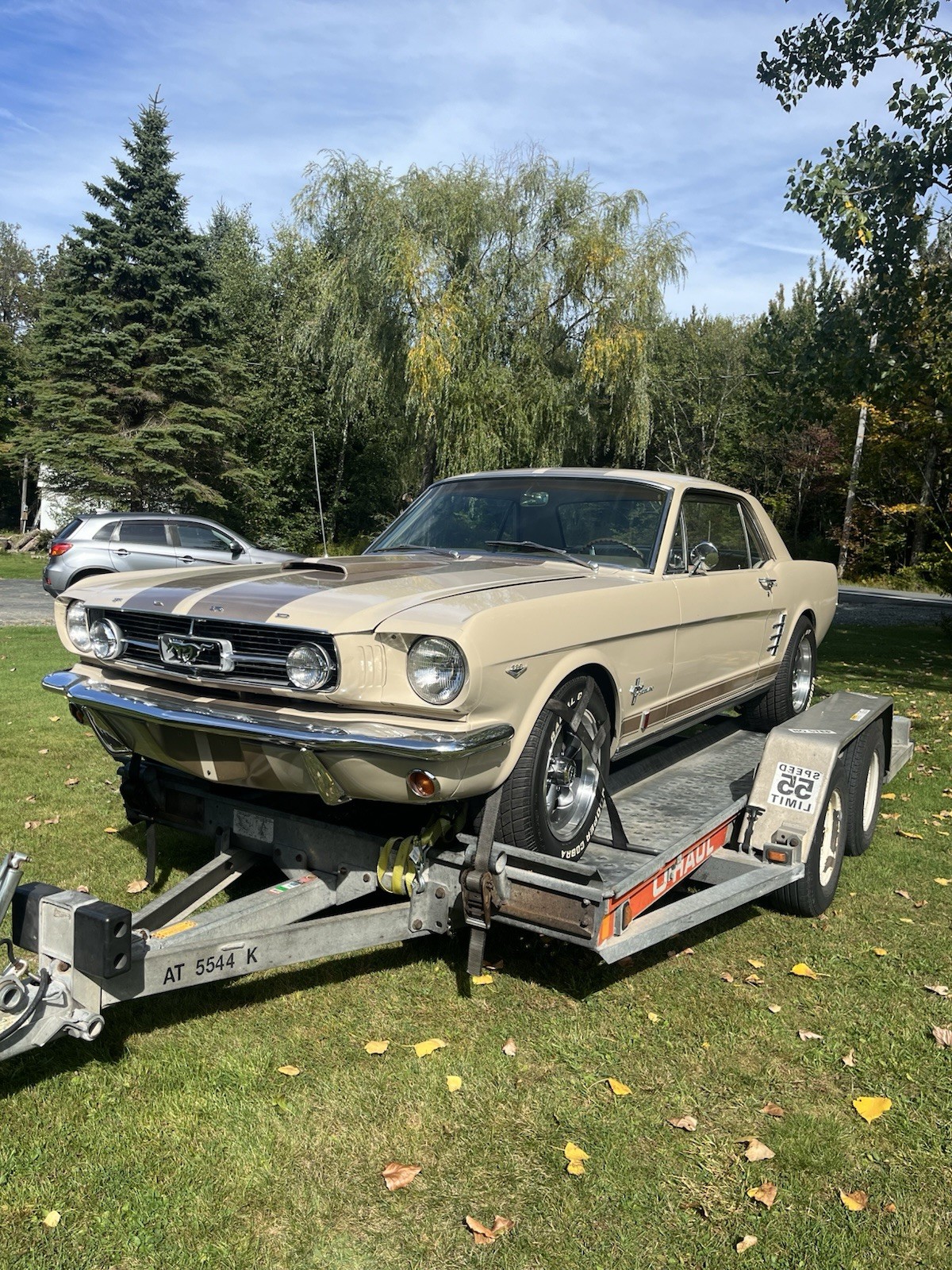 Ford-Mustang-1966-Coupe-2