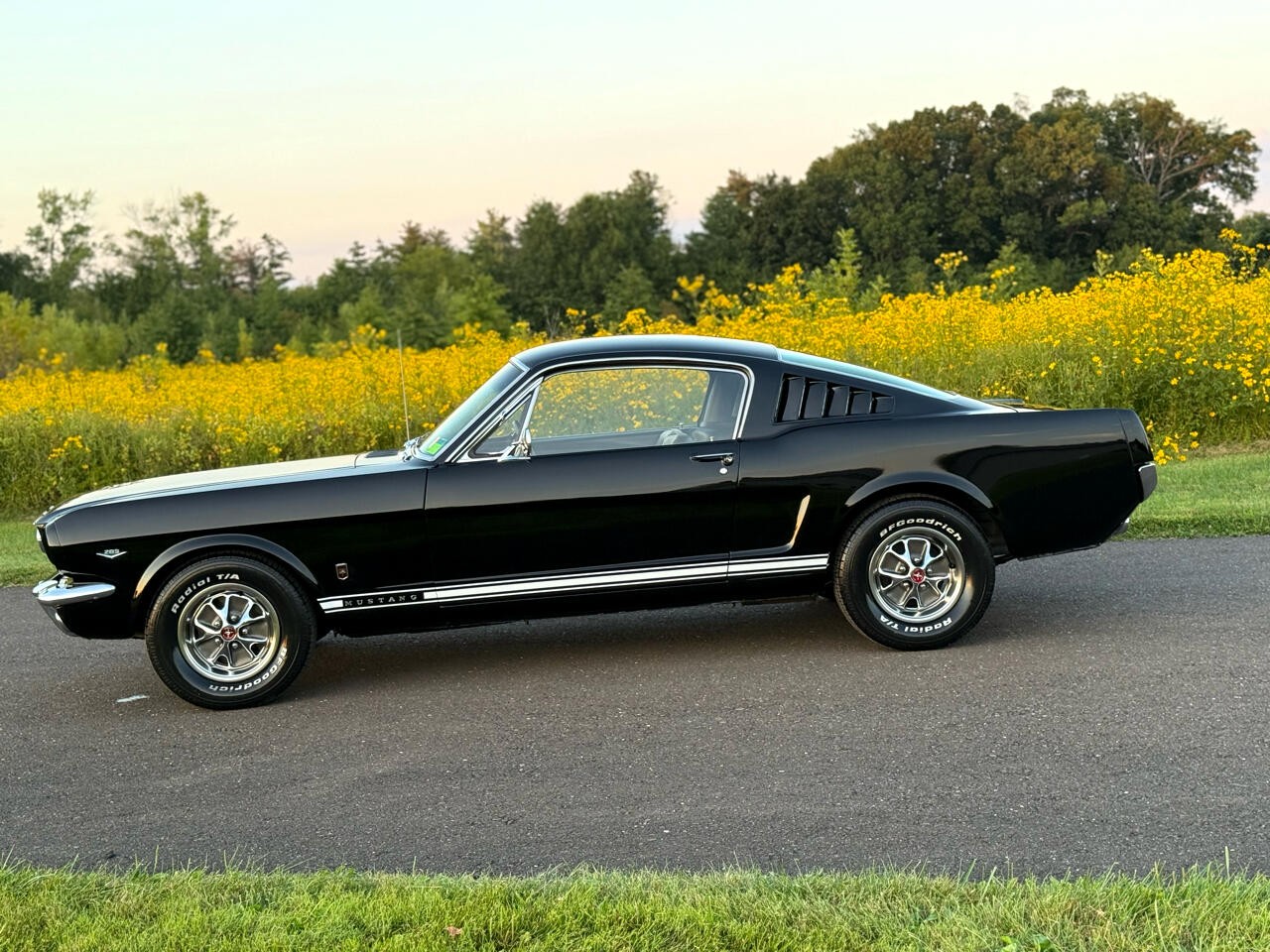Ford-Mustang-1966-Coupe-6