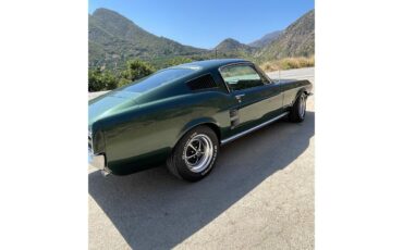 Ford-Mustang-1967-Dark-moss-green-Black-14
