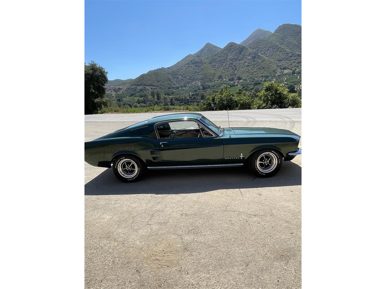 Ford-Mustang-1967-Dark-moss-green-Black-15