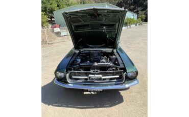 Ford-Mustang-1967-Dark-moss-green-Black-20