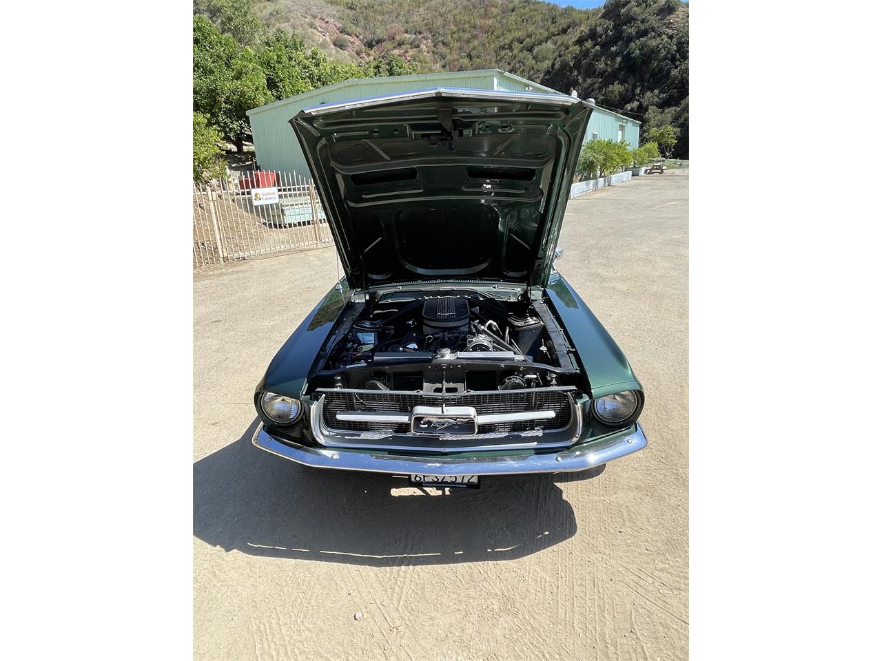 Ford-Mustang-1967-Dark-moss-green-Black-20