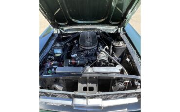Ford-Mustang-1967-Dark-moss-green-Black-21