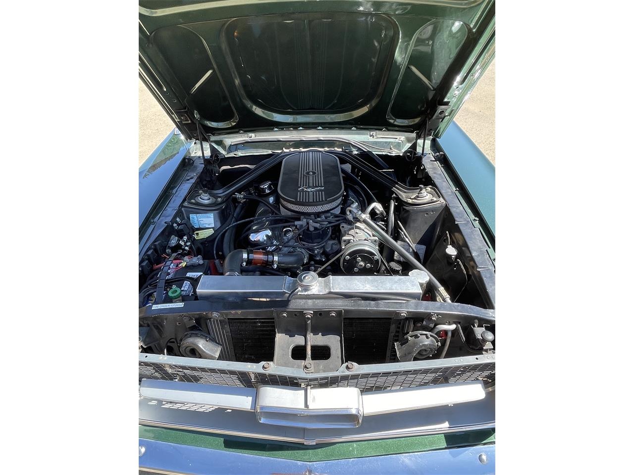 Ford-Mustang-1967-Dark-moss-green-Black-21