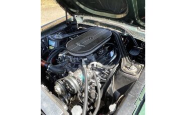 Ford-Mustang-1967-Dark-moss-green-Black-22