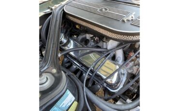 Ford-Mustang-1967-Dark-moss-green-Black-25