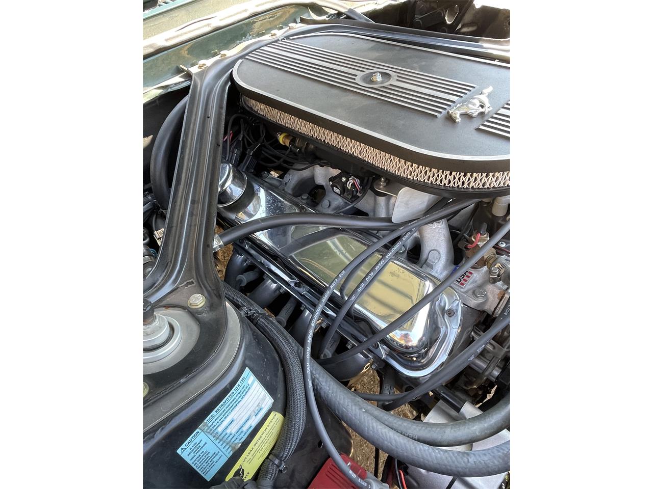 Ford-Mustang-1967-Dark-moss-green-Black-25
