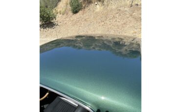 Ford-Mustang-1967-Dark-moss-green-Black-9