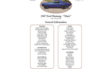 Ford-Mustang-1967-Ford-Blue-Lightning-Black-6
