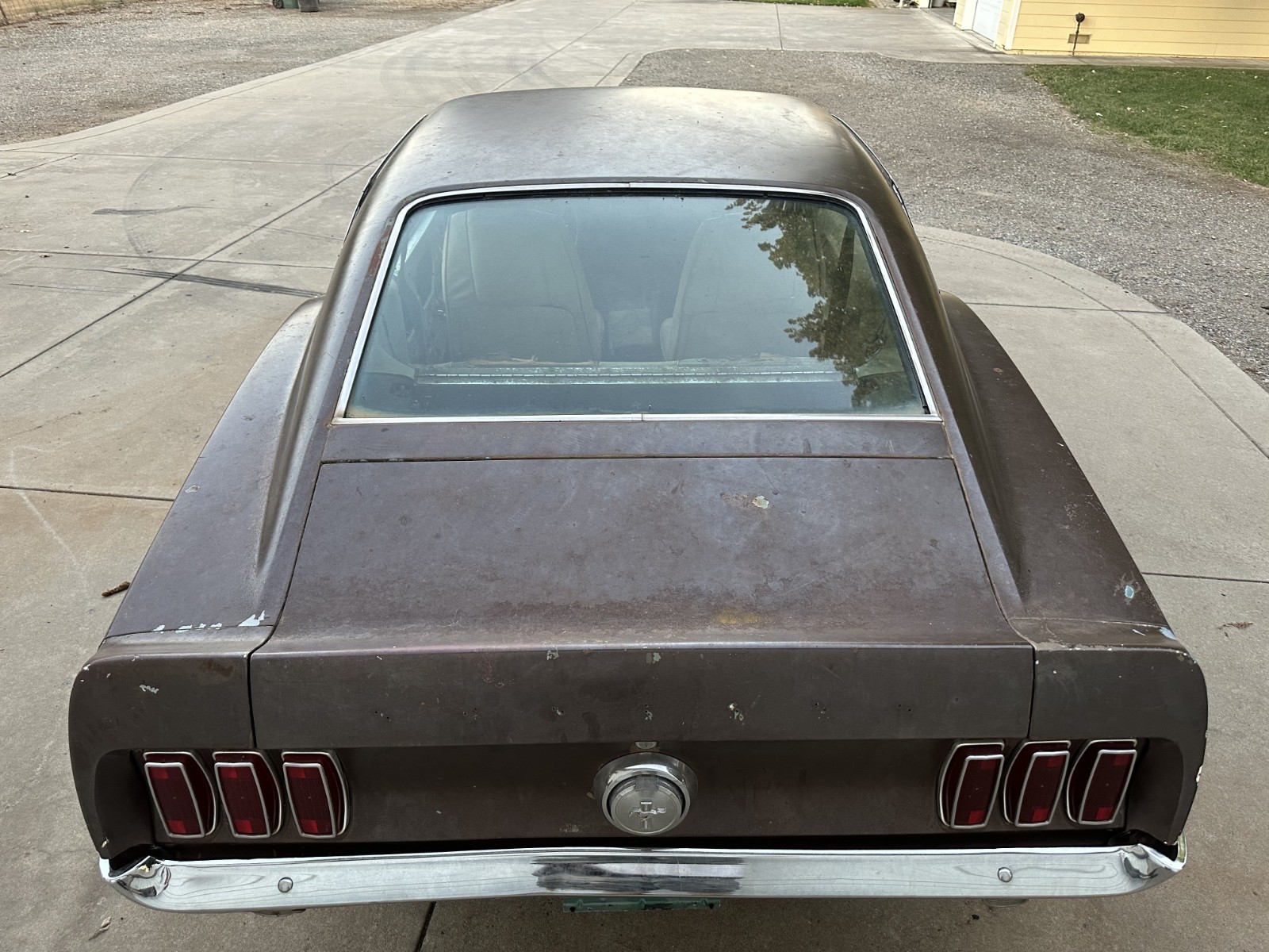 Ford-Mustang-1969-Fastback-3