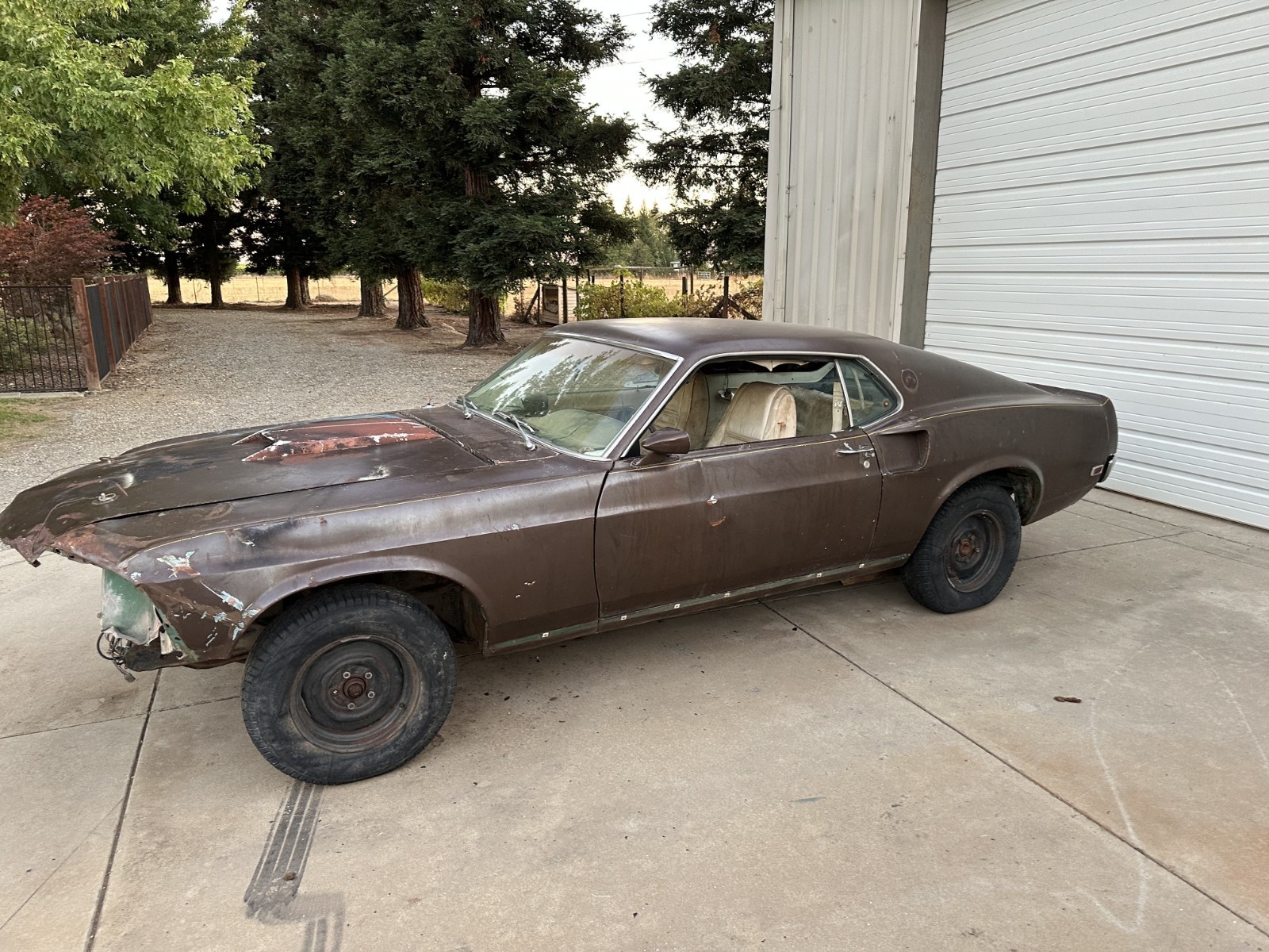 Ford-Mustang-1969-Fastback-6