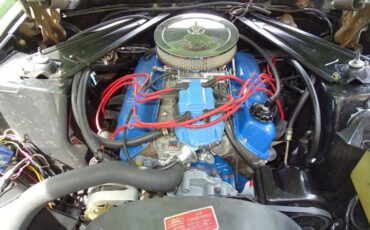 Ford-Mustang-1971-Green-Green