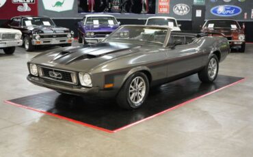 Ford-Mustang-1973-Gray-Black-1