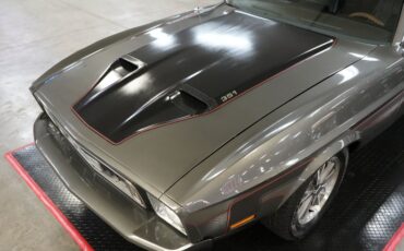 Ford-Mustang-1973-Gray-Black-38