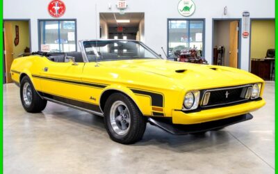 Ford Mustang 1973 Other